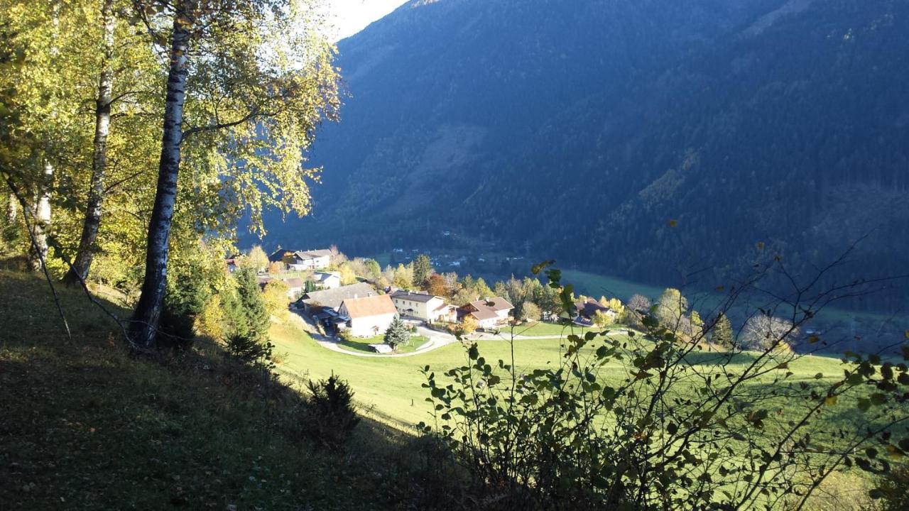 Ferienwohnung Am Bauernhof Zechner Heidi Флаттах Экстерьер фото